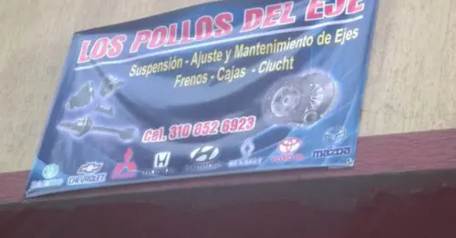 LOS POLLOS DEL EJE LOS POLLOS DEL EJE